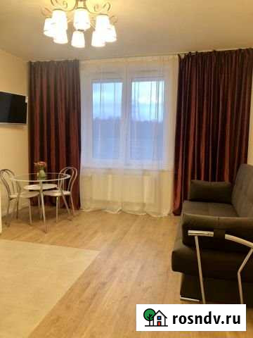 Квартира-студия, 26 м², 1/7 эт. в аренду на длительный срок в Санкт-Петербурге Санкт-Петербург - изображение 1