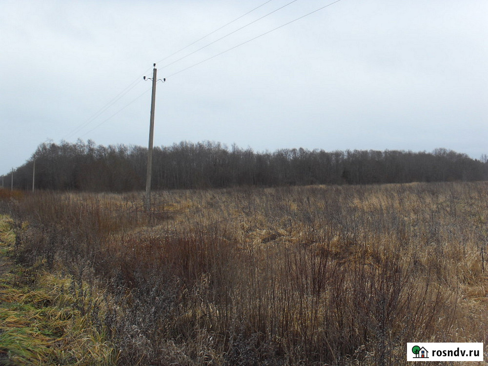 Участок СНТ, ДНП 1280 сот. на продажу в Калязине Калязин - изображение 3