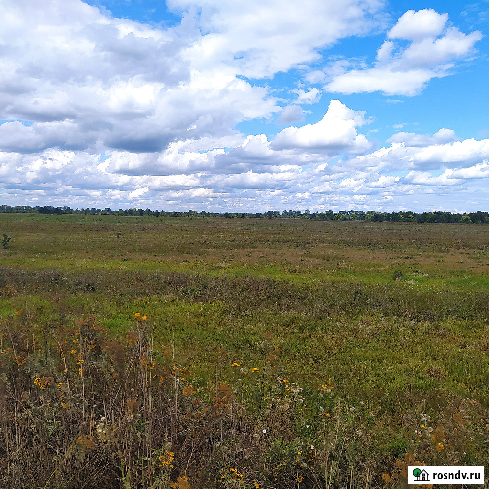 Участок СНТ, ДНП 280 сот. на продажу в Уфе Уфа - изображение 3