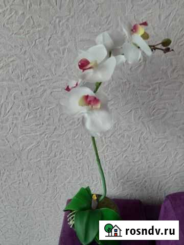 Орхидея искусственная, декор Вашего дома Рыбинск - изображение 1