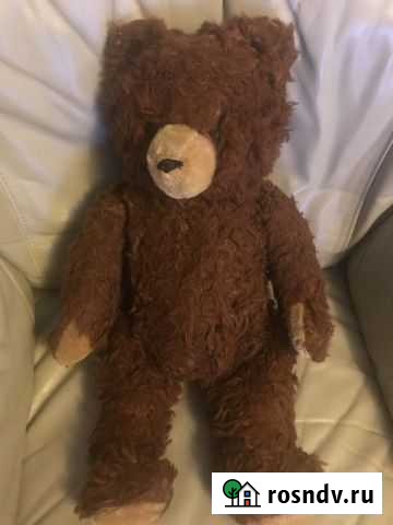 Медведь старинный Калининград - изображение 1