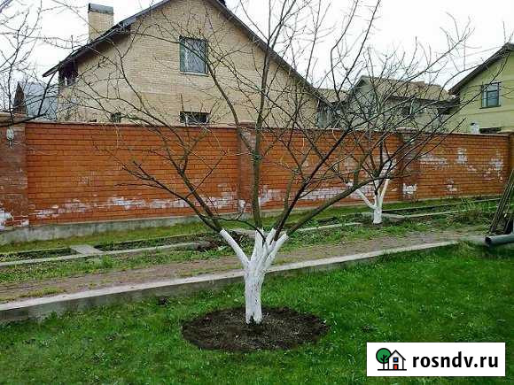 Обрезка фруктового сада и винограда Волгоград - изображение 1