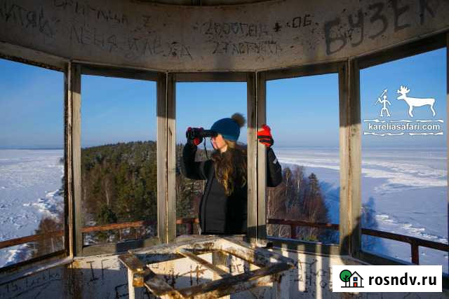 Пикник у маяка на Онего на воздушной подушке Петрозаводск - изображение 1