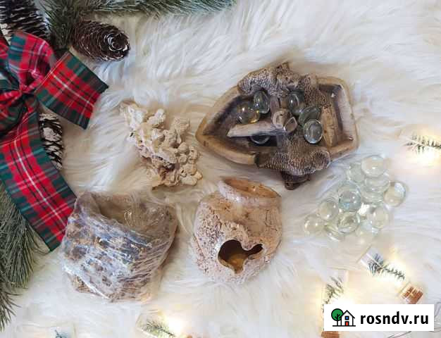 Для аквариума Ярославль - изображение 1