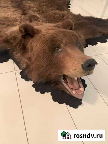 Шкура медведя (имитация) Красноярск - изображение 1