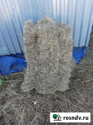 Сено Кораблино - изображение 1