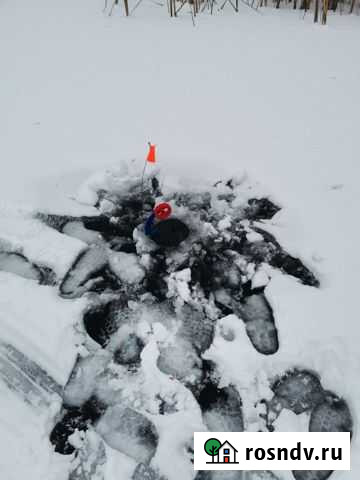 Живец Алексеевка - изображение 1