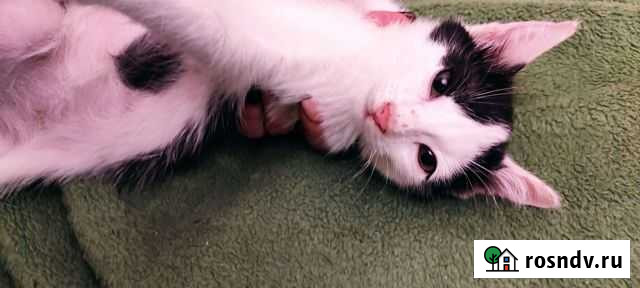 Девочка 3 месяца Саратов - изображение 1