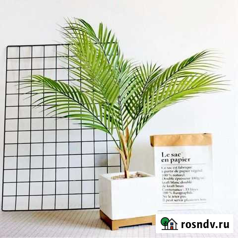 Комнатные растения икуственные Энгельс - изображение 1