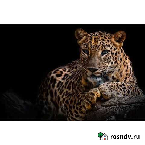 3D фотообои флизелиновые Симферополь - изображение 1