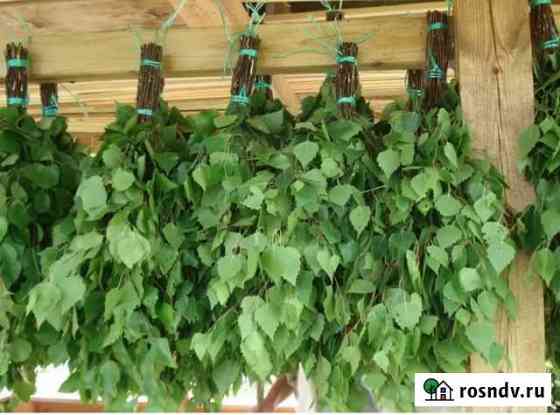 Продам Березовые веники Иваново