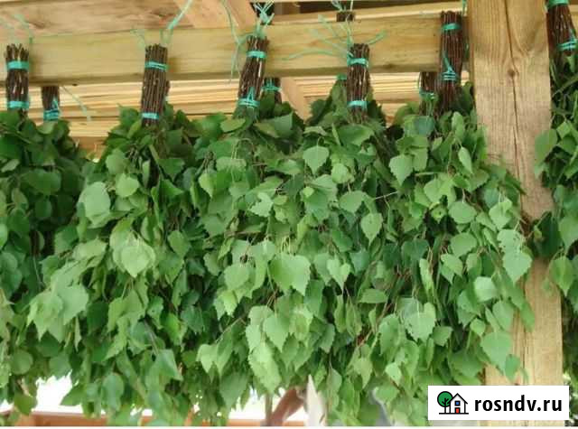 Продам Березовые веники Иваново - изображение 1