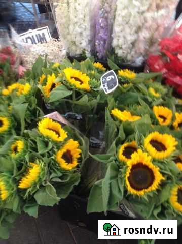 Экскурсия Черняховск/Инстербург Черняховск - изображение 1