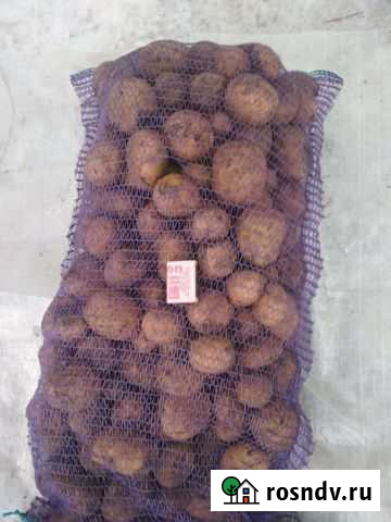 Картофель некондиция Аргаяш - изображение 1