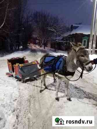 Ослик Иваново