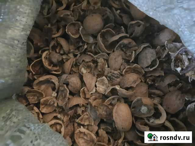 Скорлупа грецкого ореха Омск - изображение 1