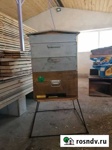 Ульи Ливны - изображение 1