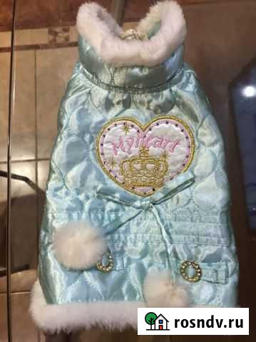 Одежда для маленьких собак Кондопога - изображение 1