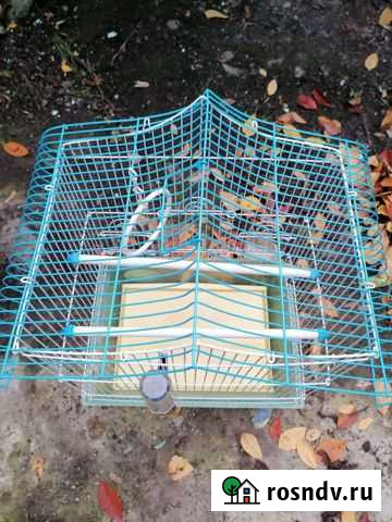 Клетка для попугая Козловка - изображение 1