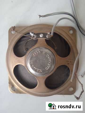 Динамик Саранск - изображение 1