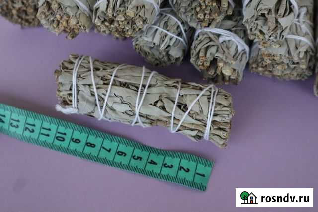 Шалфей Калифорнийский из США средний р-р Уссурийск - изображение 1