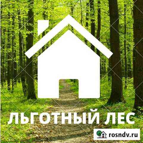 Льготный лес, лесобилет, лес на корню, брус, доска Сыктывкар