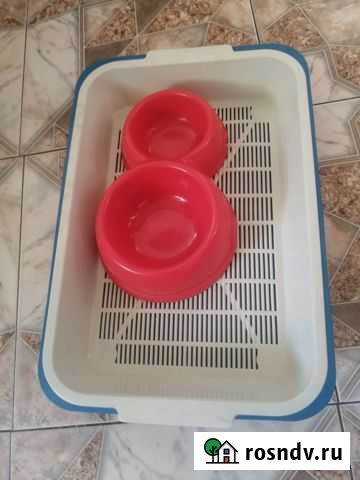 Чашки для кошек Минусинск - изображение 1