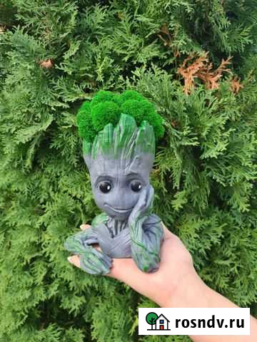 Грут и мох Засечное - изображение 1