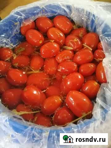 Бесплатно Томаты красные солёные всем добрым людям Камышин - изображение 1