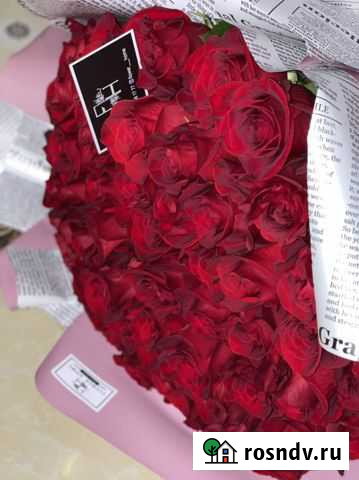 Розы Махачкала - изображение 1