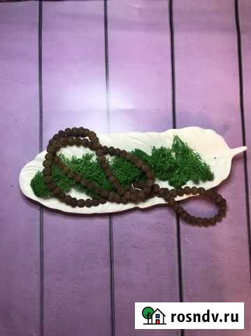 Бусы рудракша Вологда - изображение 1