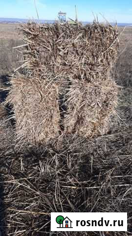 Разнотравие Элиста - изображение 1