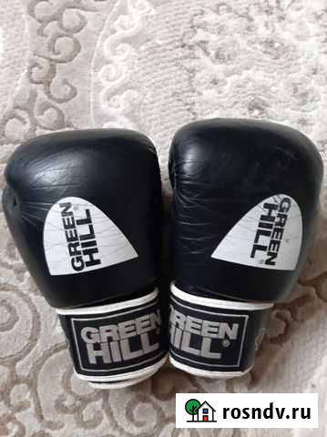 Боксерские перчатки Ельня - изображение 1