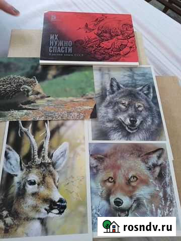 Продам открытки с описанием 1979 года. коллекция р Саратов - изображение 1