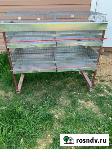 Клетка для перепелов Дорохово - изображение 1