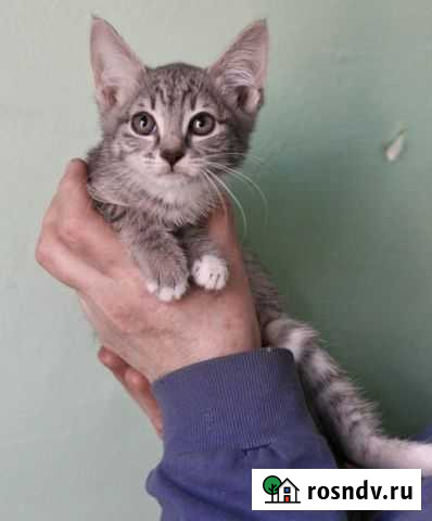 Невероятно нежная девочка Ланита Балашиха - изображение 1