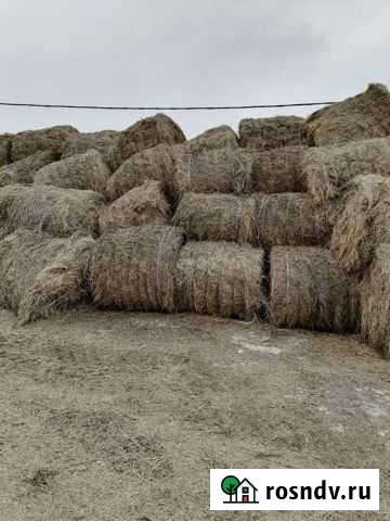 Сено Большая Мурта - изображение 1