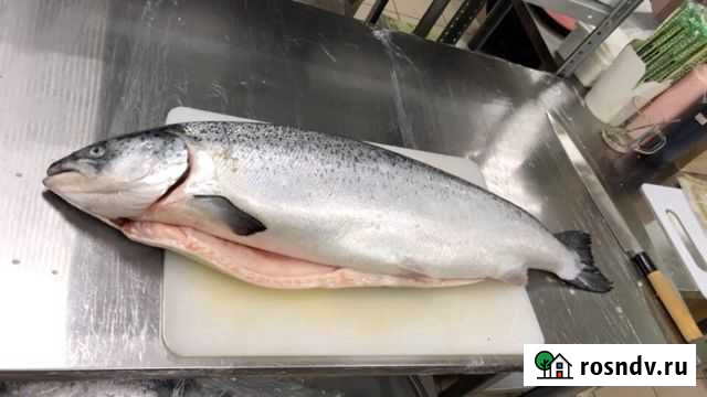 Набор для ухи из лосося Ижевск - изображение 1