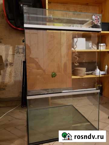 Террариум вертикальный Санкт-Петербург - изображение 1