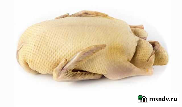 Мясо утки мулард Красногорск - изображение 1