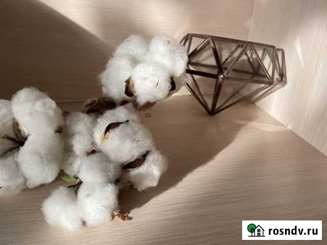 Ваза для флорариума Ханты-Мансийск - изображение 1