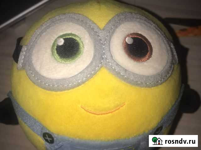 Миньон Печора - изображение 1