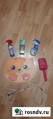 Товары и средства для котят Раменское - изображение 1