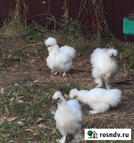 Китайские шелковые Уфа - изображение 1