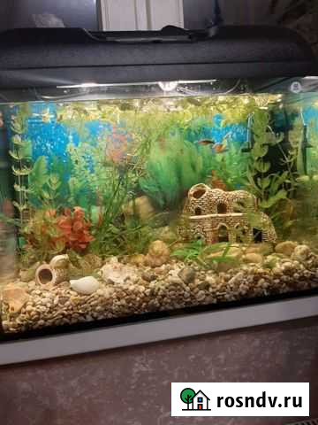 Аквариум 50 литров, б/у 10 мес Балашиха - изображение 1