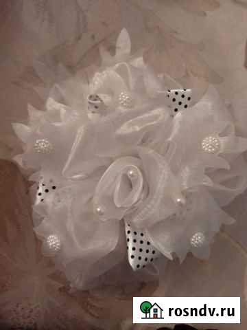 Бант Великие Луки - изображение 1