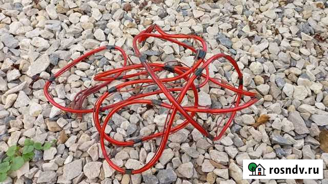 Тюльпаны и aux Ленинский - изображение 1