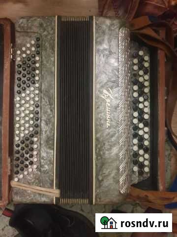 Баян Липецк - изображение 1