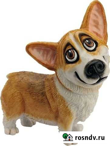 Щенок вельш-корги пемброк Сибай - изображение 1