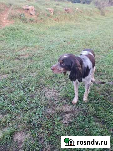 Вязка Сочи - изображение 1